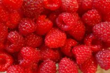 How to Make the Most of Summer’s Freshest Produce