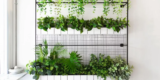 How Can You Create a Vertical Indoor Garden?